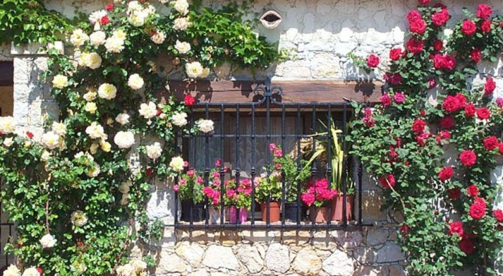 Castel Garoupe Hotel Antibes Eksteriør billede